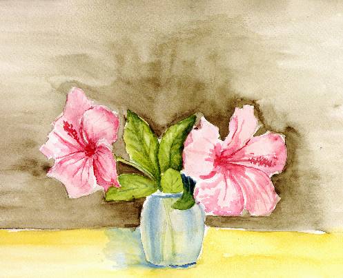 Hibiscos