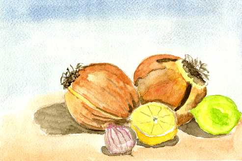 Bodegón con cebollas
